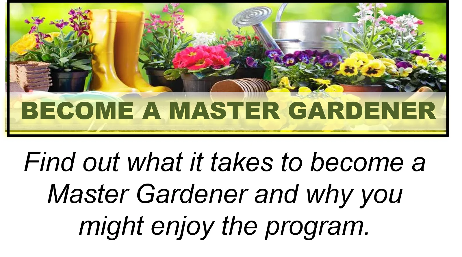Become a Master Gardener icon