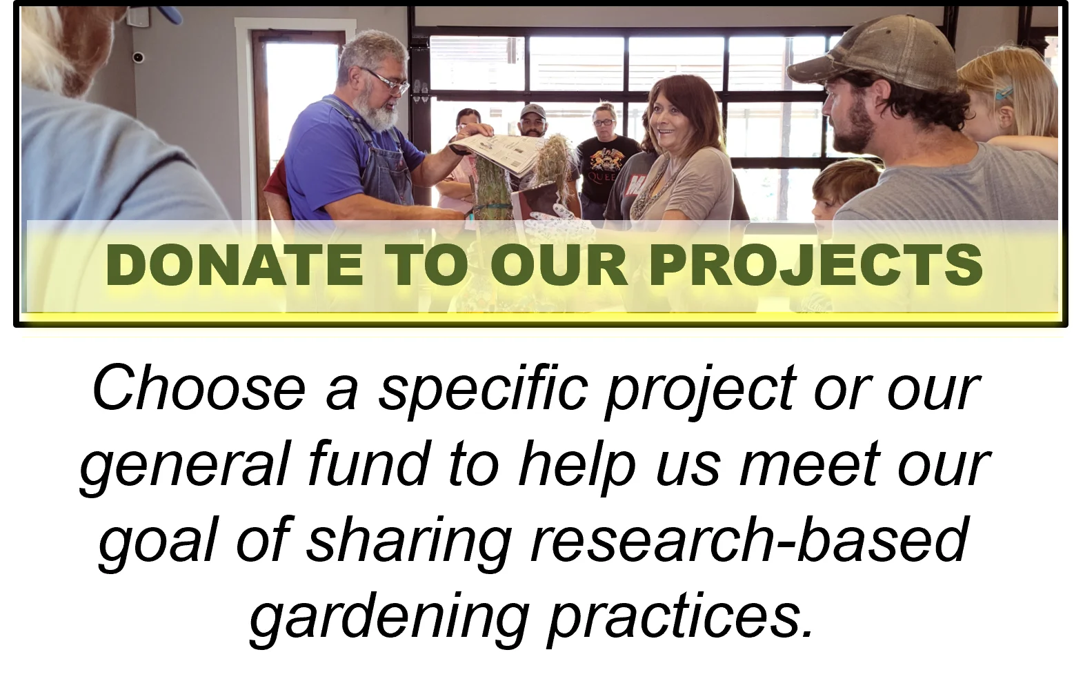 Donate to Our Projects icon